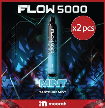 SP2S x CANYON - FLOW 5000 Mint (2pcs) 5000 Puffs